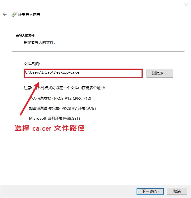在证书导入向导中,选择 ca.cer 文件路径,点击下一步