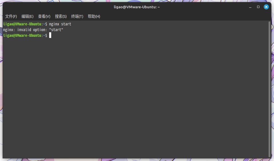 运行 Nginx